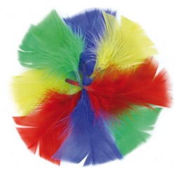 Plumas - colores brillantes - 6 a 10 cm - 270 piezas