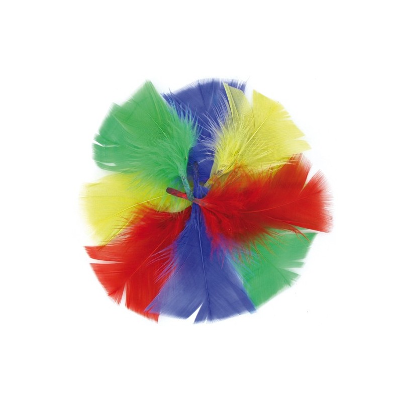 feathers - bright colors - 6 to 10 cm - 270 pieces