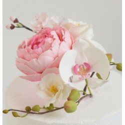 Gum Paste / flower paste - white - 250 gr - Funcakes