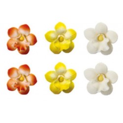 Décorations en sucre mini orchidées fleurs - 6 pces - 3.5 cm - Decora