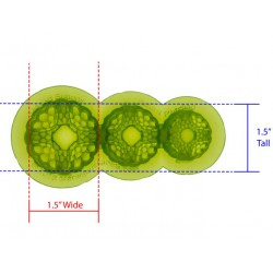 Moldes de botones con perlas - Marvelous Molds