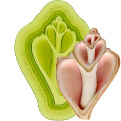cross-cut conch shell Mold - Marvelous Molds
