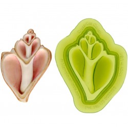 Moule "cross-cut conch shell" / coquillage conque - Marvelous Molds