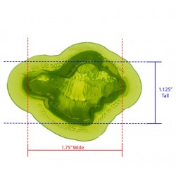 Molde "murex shell" / cáscara murex - Marvelous Molds