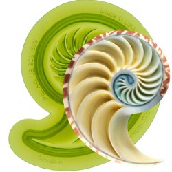 "nautilus shell right" / recht Nautilusschale Form - Marvelous Molds
