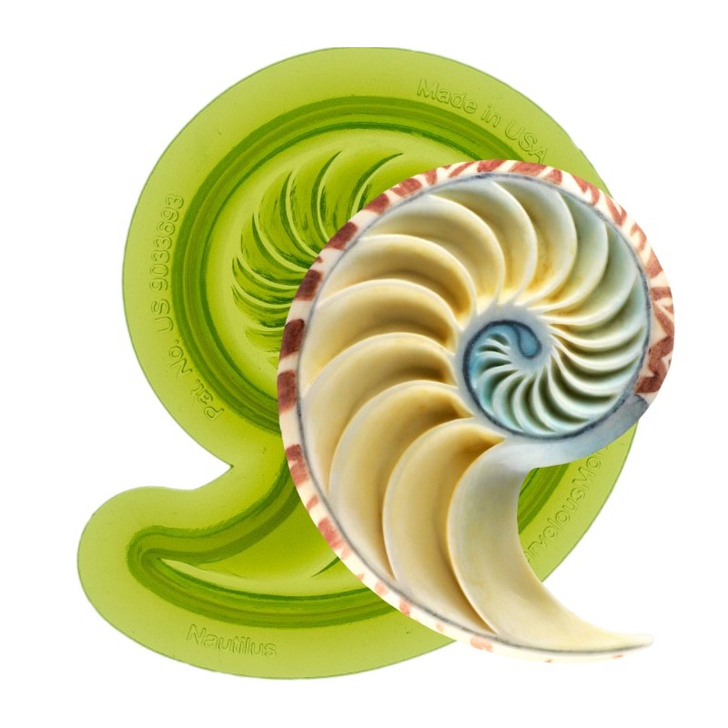Moule  "nautilus shell right" / coquillage nautilus droite  - Marvelous Molds