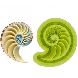nautilus shell right Mold - Marvelous Molds
