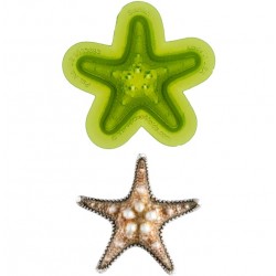 Moule  "starfish" / étoile de mer - Marvelous Molds