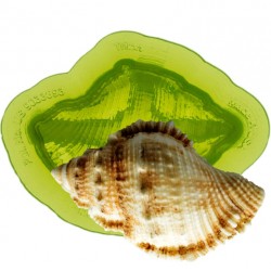 Moule "triton shell" / coquillage triton - Marvelous Molds