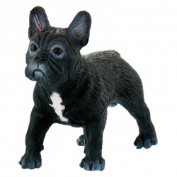 Figurita - Bulldog francés