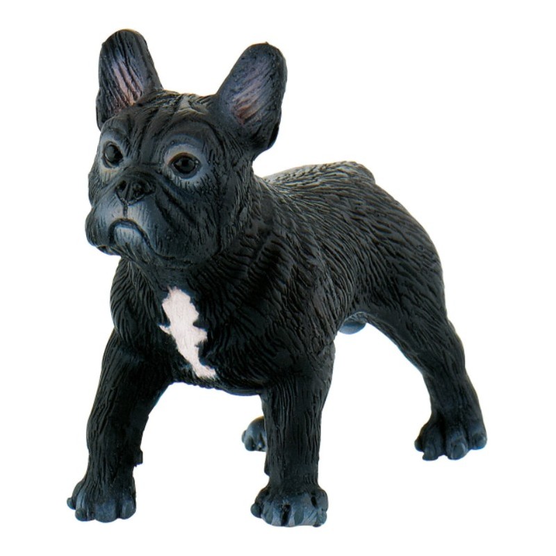 Figurita - Bulldog francés