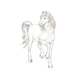 tampon bois - cheval  - Artemio