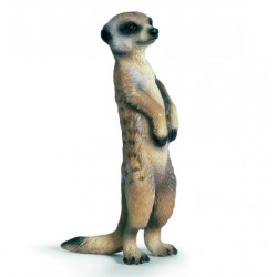 Figurina - Meerkat