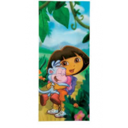 16 Dora the Explorer bags