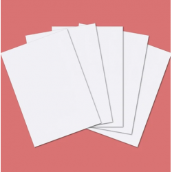 cartoncino bianco classico - 300 g / m2 A4 - confezione da 50