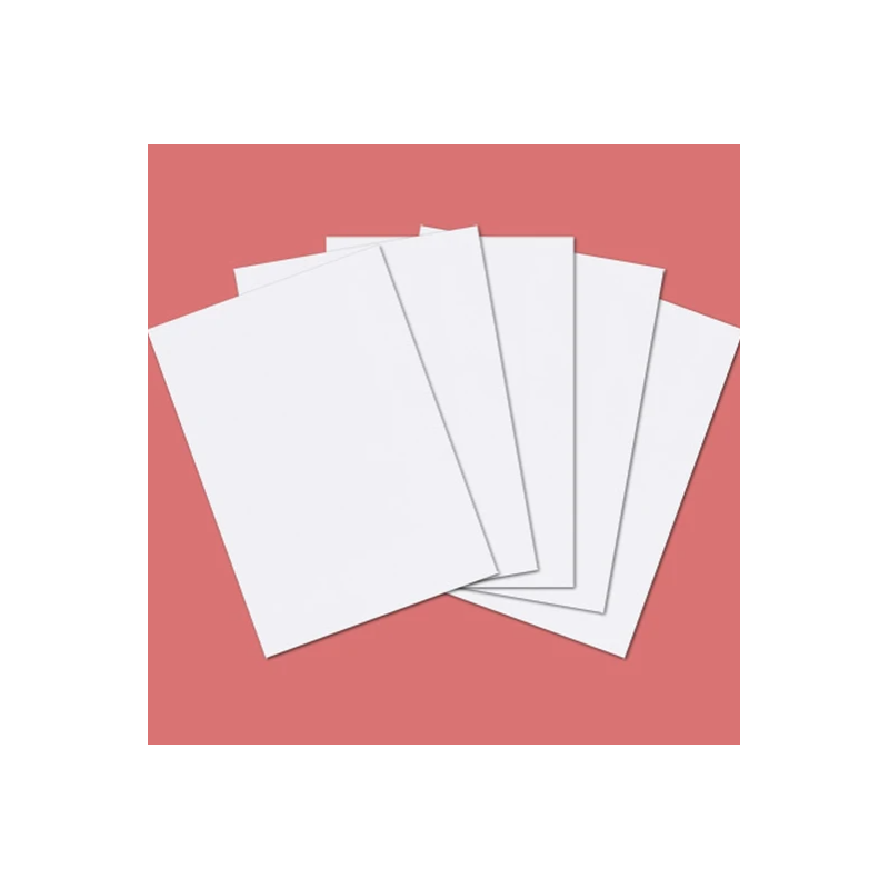 Papier cartonné - carte blanche classique - 300 g / m2 A4 - paquet de 50)