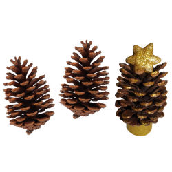 large pine cone - 2 pieces