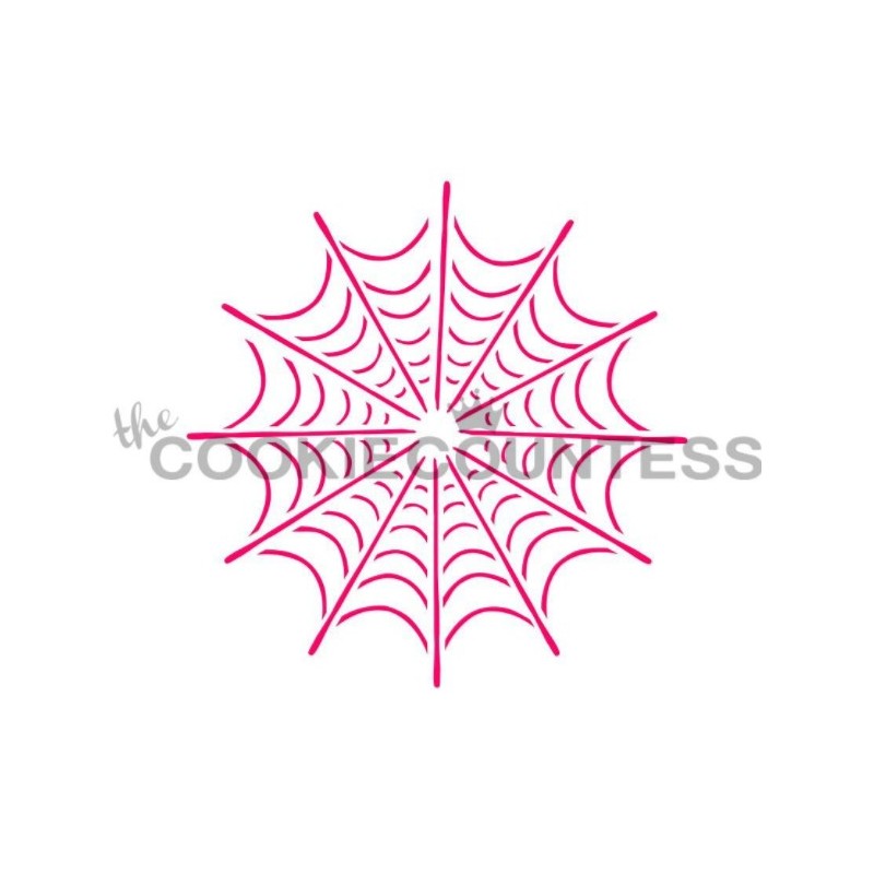 Single Spider Web / Spinnennetz