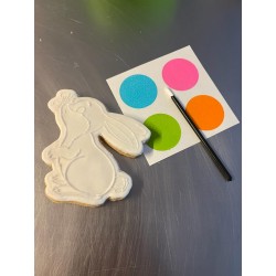 cookie to paint PYO rabbit...