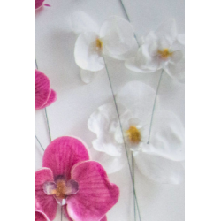 wafer paper - white orchid...
