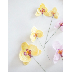 wafer paper - yellow orchid...