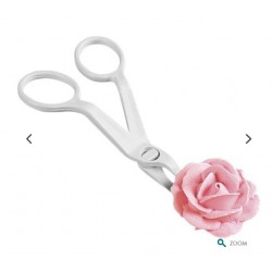 Wilton flower lifter scissors