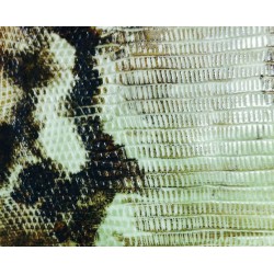 Tessitura lucertola - impression mat - 17.50 x 10.15 cm - Marvelous Molds