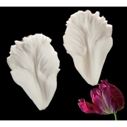 tulipán estampado de pétalos - 8.3cm & 5.5cm