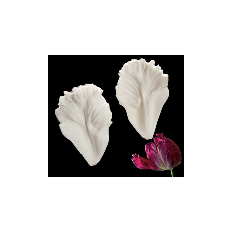 empreinte pétale tulipe - 8.3cm & 5.5cm