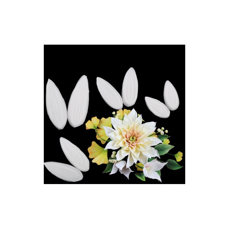 Blütenblatt Dahlie - 8p