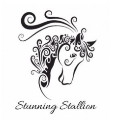 Stunning Stallion – Mini Mesh Stencil - Crystal Candy