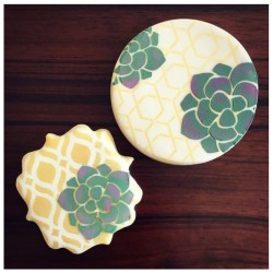 stencil Succulentes 2 tailles - Cookie Countess