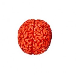 Cerebro grande