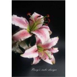 Porcelana fria "Flores" natural (para colorear) 250g