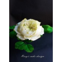 Porcelana fria "Flores" natural (para colorear) 250g