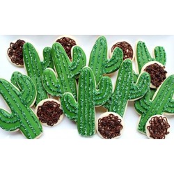 Cookie cutter cactus  -  4" - Ann Clark